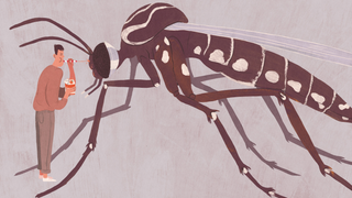 7 Bullshit Cures For Zika That Are Spreading Online